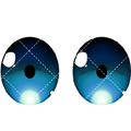 Augen 85-23