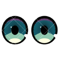 Augen 85-08
